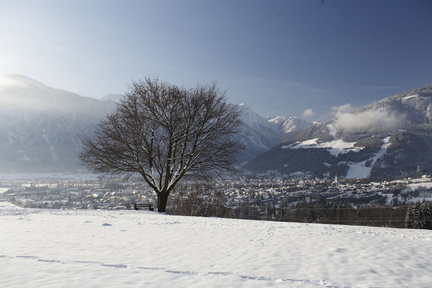 Serie Lienz: Alleinstehender Baum im Schnee oberhalb der Stadt Lienz 