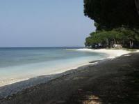 Kieselstrand bei Fazana auf der Halbinsel Istrien. Fazana (italienisch Fasana) ist ein Fischerort an der Westküste Istriens. Er liegt zwischen Vodnjan/Dignano und Pula/Pola und hat einen kleinen Hafen.